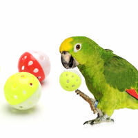Juguete Para Aves Pelota Hueca Con Campana Estimulante Mordedor Para Periquitos Bola De Plástico Para Juegos Interactivos - details 0