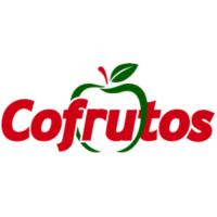 COFRUTOS- DELIGHT BEBIDA REFRESCANTE 1,5 l MANDARINA-NARANJA - details 0