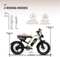 2025 onesport Bicicleta de Montaña Eléctrica W66 20 pulgadas Fat Boy 48v13.5ah gadería extraible 65nm aplicación Bluetooth de motor - details 11
