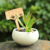 Etiquetas De Plantas Ecológicas T-Type En Madera De Bambú Resistentes Al Agua Para Jardín Semillas Hierbas En Macetas Flores Verduras Marcadores De Jardín - details 0