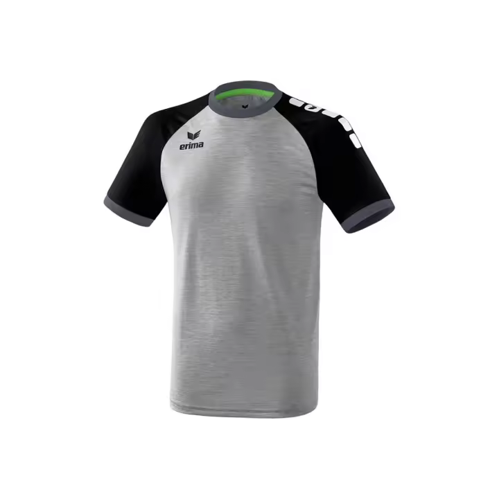 Ropa hombre Camisetas Erima Camiseta Zenari 3.0 Gris - 1