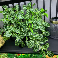 45cm Planta Artificial De Vínculo Hojas De Iva Falsas Scindapsus Aureus Rattan Para Decoración De Hogar Boda Jardín - details 2