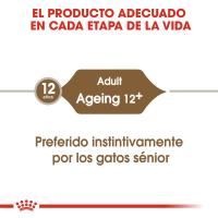 Royal Canin Ageing 12+ en gelatina 12X 85g - details 5
