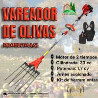 Vareador de aceitunas a gasolina MIXURY V-33 | 2 Tiempos; 33cc; 1.7cv; 8 varillas de fibra de carbono + arnés profesional - details 0
