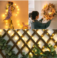 Guirnalda Decorativa De Luces De Navidad LED 24V Impermeable Para Exterior Con Hilo De Cobre Fairy Lights Para Boda Jardín Calle Césped - details 7