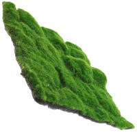 Alfombra De Túnel Artificial De Moss Falso Para Decoración De Hogar Alfombra De Hierba Artificial De Poliéster Para DIY - details 1