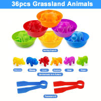 Juguete Montessori De Identificación De Animales Y Cuentas Color Sorting Dinosaurio Para Niños Regalo Desarrolla Habilidades De Color Y Conteo - details 8