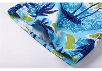 Shorts De Playa Para Hombre Verano Pantalones Sueltos Con Bolsillo Secado Rápido Estampado Que Te Mantiene Fresco - details 8