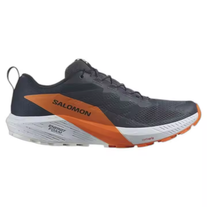 Calzado Salomon modelo Shoes Sense Ride 5 Gtx Indink/Carbon/Drf - 1
