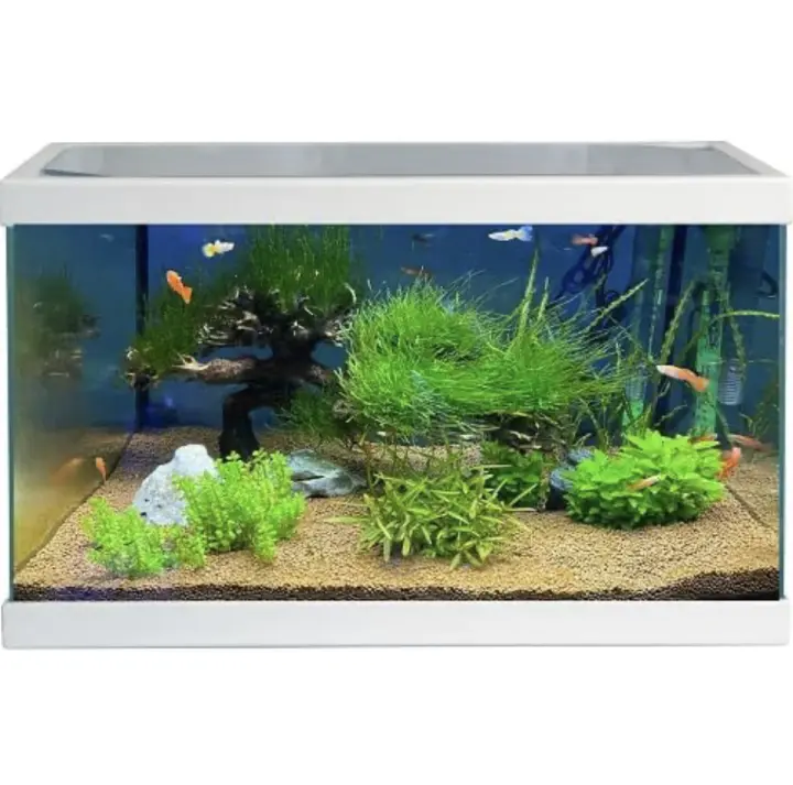 ACUARIO PECERA DE CRISTAL 60  --  54 L CON MARCOS DE PLASTICO BLANCOS Y TAPA DE CRISTAL - 1