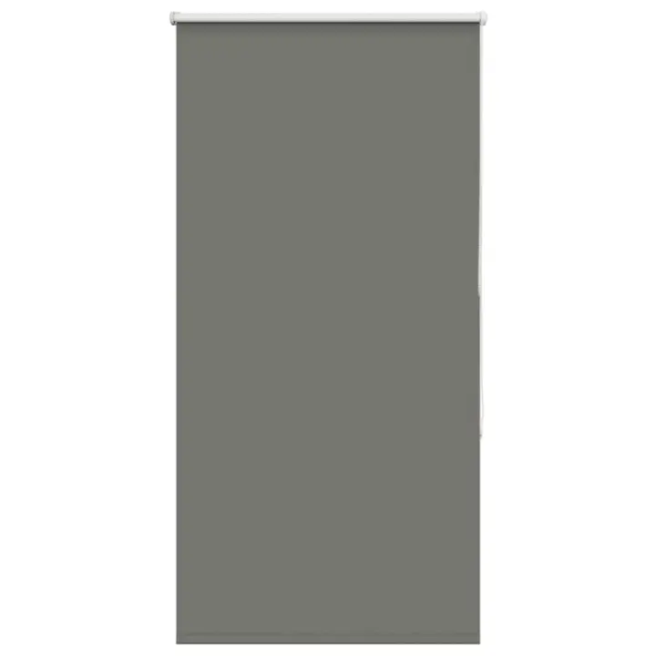 Estor Enrollable Opaco gris 80x150 cm Tela Ancho 75,7 cm - 1