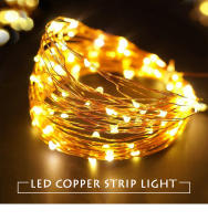 Luces De Cadena LED Con Hilo De Cobre 2M 3M 5M 10M Para Decoración De Fiesta De Boda Y Navidad Iluminación De Guirnalda Eléctrica Al Piloto - details 0