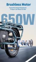 Bicicleta eléctrica ONESPORT OT01, motor de 650W, batería de 48V 27Ah, neumático de 20*2.6 pulgadas, velocidad máxima de 25km/h, alcance máximo de 100km, frenos de disco hidráulicos, horquilla de suspensión delantera - Azul - details 1