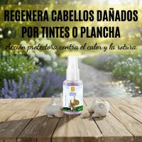 Ever Ego Italy Serum Capilar al Ajo – Cristales Líquidos Regenerantes | 100 ml - details 2