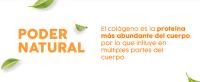 ArticuCol - Colágeno marino hidrolizado con Condroitina, Magnesio, MSM, Vitamina C, Vitaminas B1 B2 B5 y B6, Hialuronato sódico - Articulaciones Fuertes y Piel Sana - Bote de 300g Espadiet - details 1