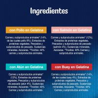 Felix Purina Fantastic Comida Húmeda para Gato Adulto Pack Surtido, 44 sobres - details 2