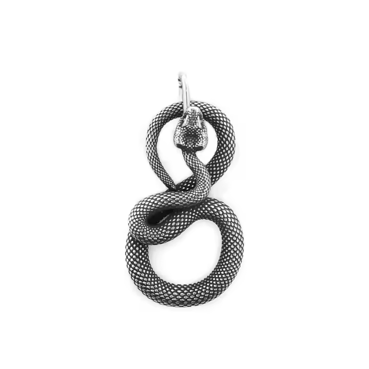 Collar De Acero Inoxidable Vintage Para Hombres Y Mujeres Con Colgante De Serpiente Gótico Animal Motociclista Amuleto Joyería Regalos - 1