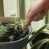 Juego De Herramientas De Jardín 3pcs Rake Pala Mini Para Plantas Succulentas Y Tierra Suave Aluminio Herramienta De Jardinería - details 5