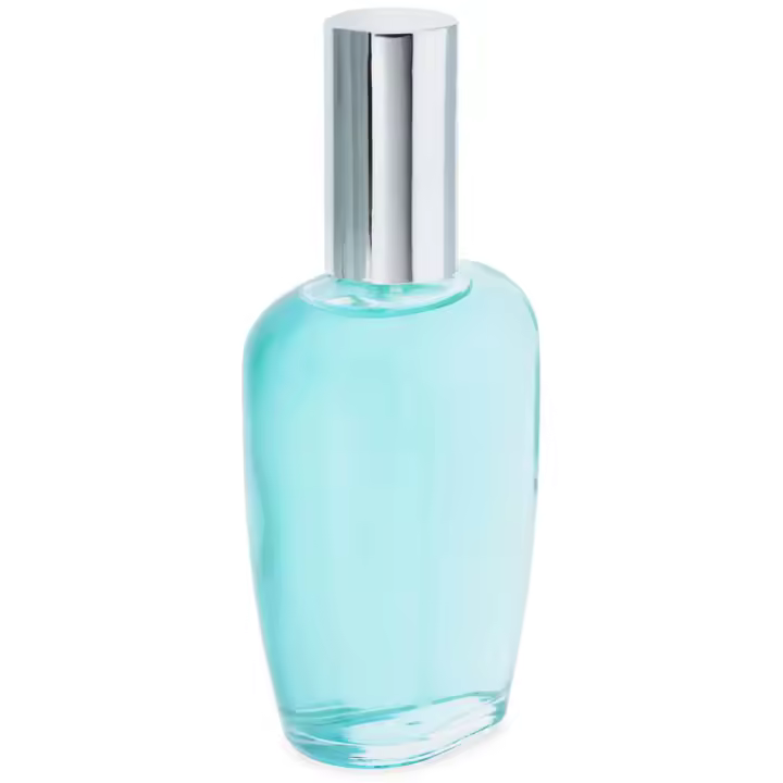 Frasco de perfume ovalado plateado  | Pulverizador incluido para perfumes caseros | Cristal transparente | Elegante y funcional - 1