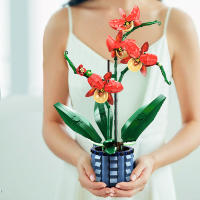 Juego De Construcción Creativo De Bloques MOC Con Bouquet De Flores Y Bonsái Orquídea Modelo De Plantas Puestas En Vaso Decoración Para El Hogar Juguetes Para Niños Regalos - details 0
