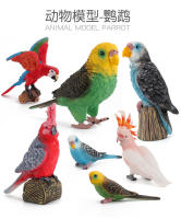 Figura De Acción De Papagayo Realista Serie De Pájaros Simulados Modelo Sólido Para Juguete Educativo Para Niños Regalos De Navidad - details 1