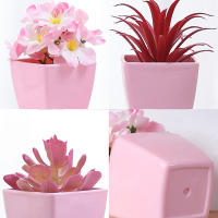 Set De 3 Plantas Miniatura En Macetas Simuladas Para Decoración De Hogares Restaurante Mesas Ventanas Y Estantes Material Plástico Estilo Bonsái - details 7