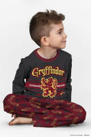 Pijama largo Harry Potter Gryffindor gris burdeos Raíz MERCHAN-STORE Pijama Harry Potter - details 5