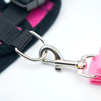 Juego De Correa Para Perros Y Gatos Transpirable Para Paseos En Verano Equipamiento Para Mascotas De Pecho Y Espalda Adecuado Para Perros Pequeños - details 8