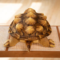 Peluche Realista De Cocodrilo Y Tortuga Juguete De Peluche Para Niños Regalo De Cumpleaños Muñeco De Peluche Suave Y Cálido Para Abrazar - details 7