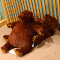 Oso De Peluche Marrón De 40cm Juguete Grande Oso Teddy Suave Cojín Almohada Para Niñas Regalos De Cumpleaños Juguetes De Animales De Peluche Unisex - details 2