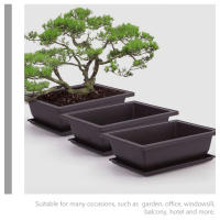 Juego De 5 Macetas Rectangulares Para Suculentas Y Bonsái Contenedor De Flores Plástico Blanco Y Azul Para El Hogar - details 1