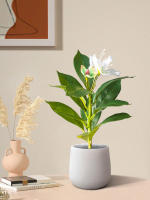 Plantas Artificiales De Azalea 21-40cm Falsas Hojas De Palma Tropicales Ficus Faux Con Flores Para Decoración De Hogar - details 5