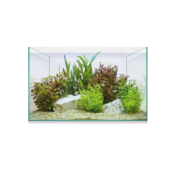 Ica Kit AQUASCAPE BASIC 8 - Acuario Plantado - Filtro de Cascada - Libro Guía - CO2 - 1