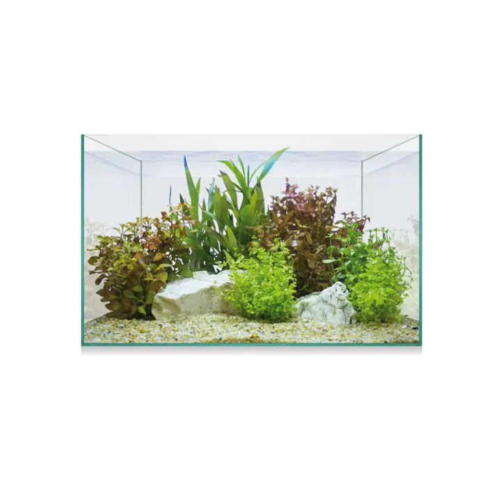 Ica Kit AQUASCAPE BASIC 8 - Acuario Plantado - Filtro de Cascada - Libro Guía - CO2 - 1