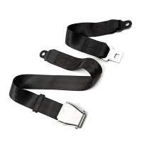 Cinturón De Seguridad De Asiento De Avión Extensor De Asientos Universales Accesorios De Coche Estirador De Cinturones De Dos Puntos Con Bandas De Seguridad - details 1