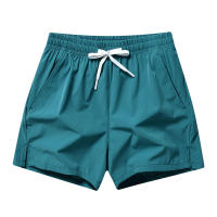 Nuevos Shorts Para Hombres Estilo Rápido Secado Tres Partes Deportivas Sueltas Con Selección Multicolor Pantalones Casuales Delgados Para Hombres - details 4