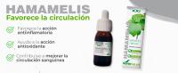 Hamamelis Extracto en Gotas Soria Natural – Favorece la circulación – Acción Antiinflamatoria - Frasco de 50 ml. - details 1
