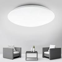 LEDME Lámpara de Techo LED 36W Circular Ice - details 2