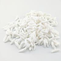 100pcs Luminiscencia Silicone Vermes Artificiales De Pescar 2cm 0.3g Gusanos Maggot Señuelos Con Hueso Para Pesca En Agua Dulce Y Salada - details 5