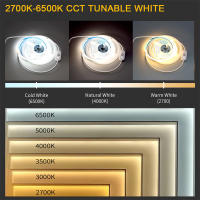 Tira De LED COB 5V CCT 3000-6500K Dimmable 8mm CRI 90+ 500LEDs/M Cortable Y Flexible Para Armarios Y Hogar Luz LED Dotless - details 9