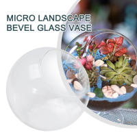 Micro Paisaje Vaso De Vidrio Transparente Para Plantas Succulentas Terrario Colgante Contenedor Hidroponía Maceta De Flores Decoración Para El Hogar Estilo Moderno - details 1