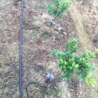 Sistema De Riego Por Drip Micro Jeringa Rotatoria De 360 Grados Para Jardín Plantas Con Mangue De 4/7 Pulgadas - details 2