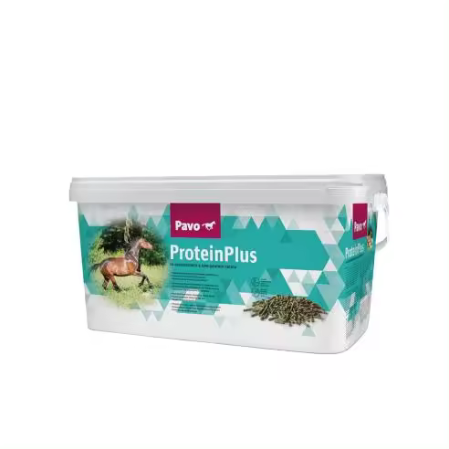 Suplemento de Proteina para Caballo PAVO PROTEIN PLUS cubo de 7kg - 1