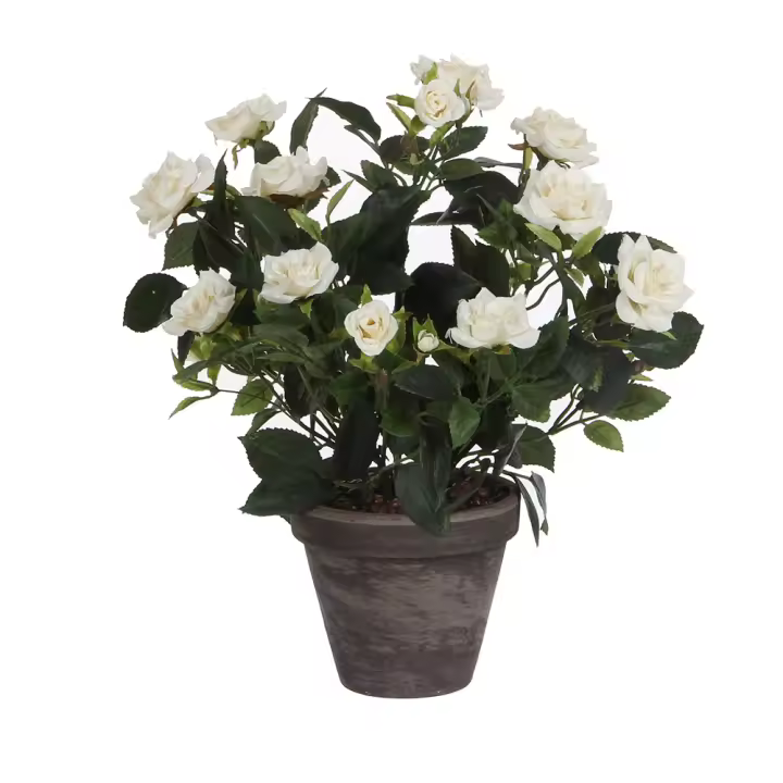 ROSAL COLOR BLANCO PVC CON MACETA GRIS - 1