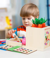 Juguete Montessori De Madera 6-en-1 Kit De Juego Con Caja De Objetos Permanentes Caja De Monedas Juego De Arado De Zanahoria Y Sorteo De Formas - details 1