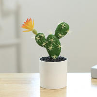 Cactus Artificial Con Flores Pequeño Plantas En Maceta De Plástico Para Decoración De Escritorio Hogar Y Habitaciones Estilo BONSAI - details 6