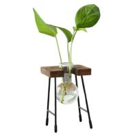 Vaso De Flor De Vidrio Moderno Para Arreglo Floral Y Propagación De Plantas Decoración De Sala De Estar Y Casa Rústica Sin Marca Proveniente De China Continental - details 1