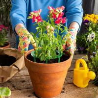 Hydro Halo Anillo De Agua Automático Drip Irrigación Multi Salida Para Riego De Plantas Y Flores Herramientas De Jardinería - details 11