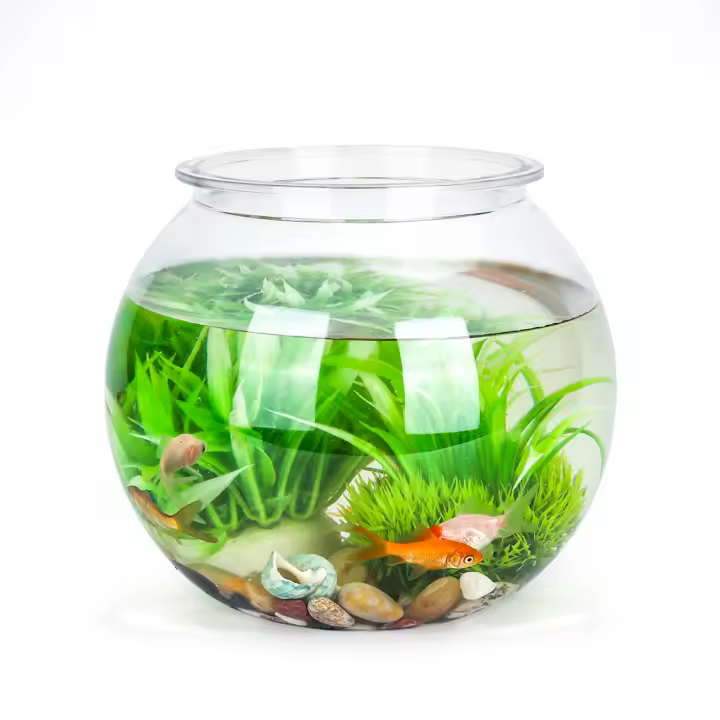 Nobleza - Pecera Globo de Plástico, Ideal para Flores, Peces, Tortugas (17.5cm/20cm) - 1