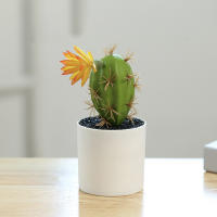 Cactus Artificial Con Flores Pequeño Plantas En Maceta De Plástico Para Decoración De Escritorio Hogar Y Habitaciones Estilo BONSAI - details 4